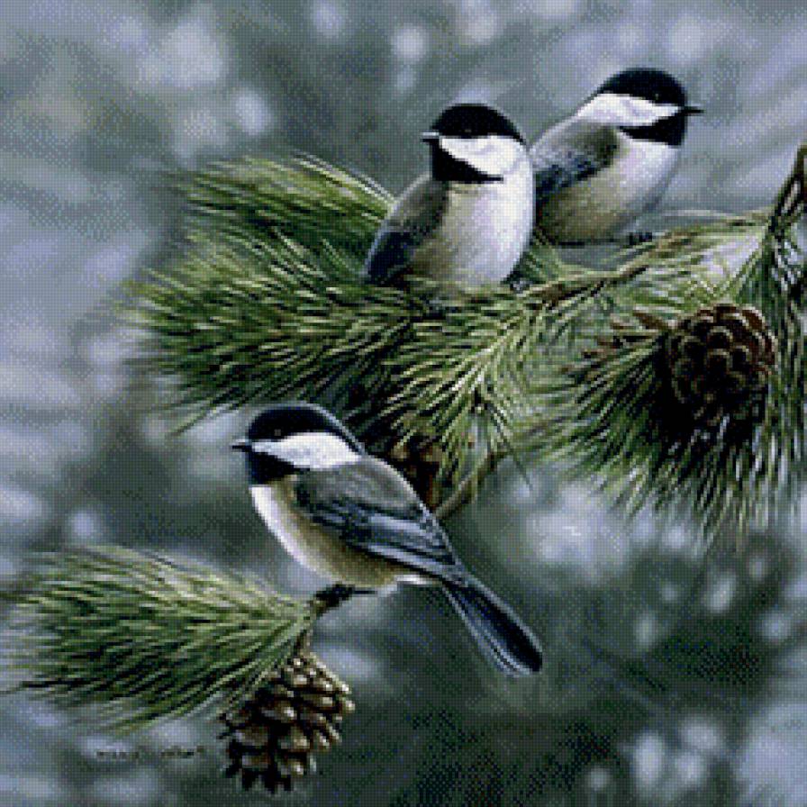 синички - ветка, зима, снегирь, серия птицы, синичка, воробей - предпросмотр