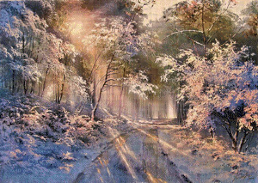 солнце в зимнем лесу - зима, сосна, ели, елки, дерево, пейзаж, природа, лес, снег, сугроб - предпросмотр