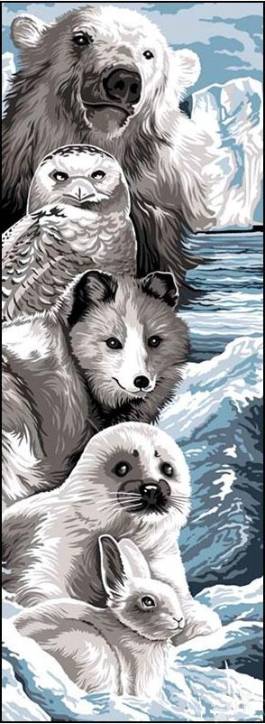 север - сова, тюлень, волк, кролик, медведь - оригинал