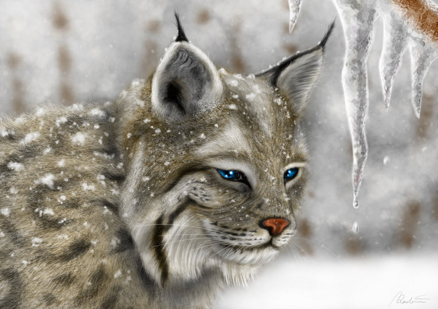 №573785 - зима, животные - оригинал