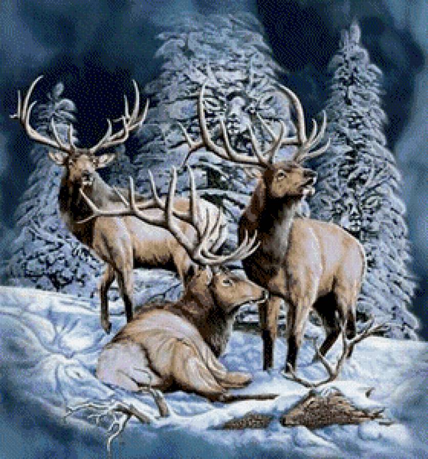 олени - зима, олень, снег - предпросмотр