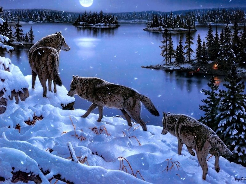 волки - вода, зима, волк - оригинал