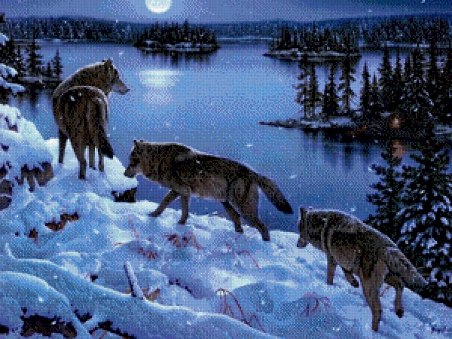 волки - вода, зима, волк - предпросмотр