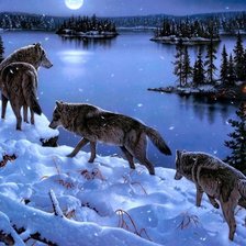 Схема вышивки «волки»