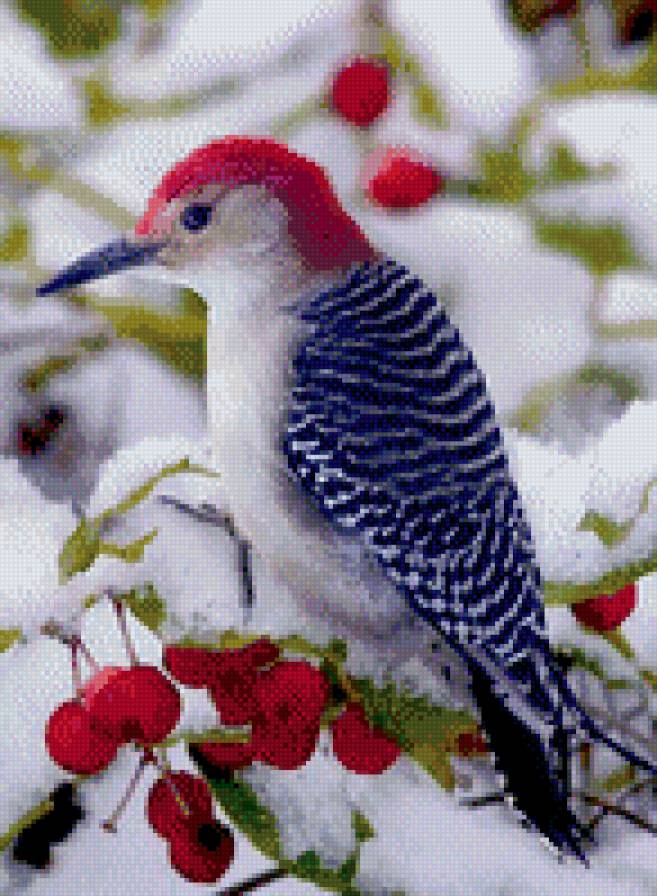 Зима - зима, ягоды, птица - предпросмотр