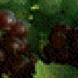 Предпросмотр схемы вышивки «Виноградное настроение 1» (№574048)