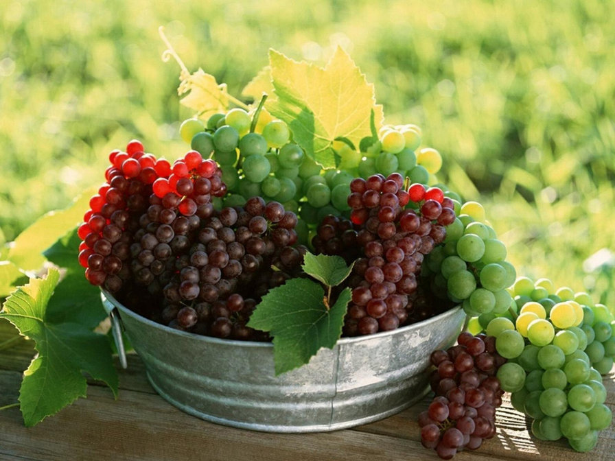 Виноградное настроение 1 - для кухни - оригинал