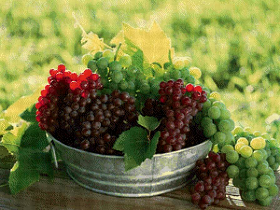 Виноградное настроение 1 - для кухни - предпросмотр