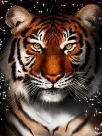 тигруля - животное, тигр, хищник - оригинал