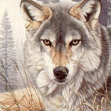 Оригинал схемы вышивки «волк» (№574165)