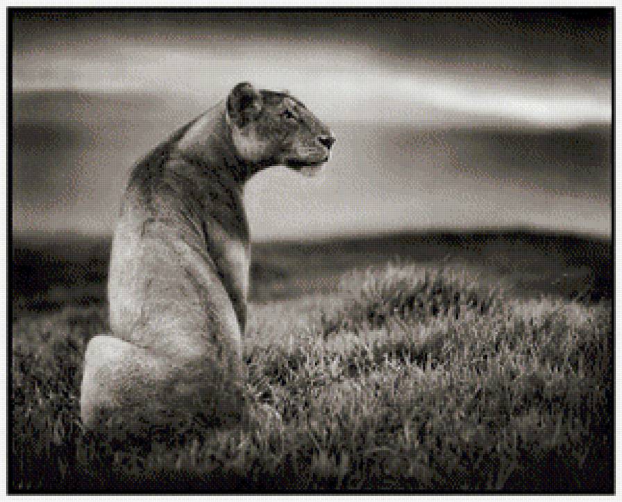 №574212 - животные, природа - предпросмотр