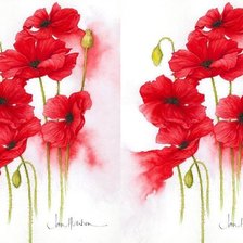 Схема вышивки «маки»