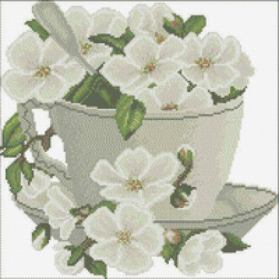 белые цветы в чашке - белые, букет, цветы - предпросмотр