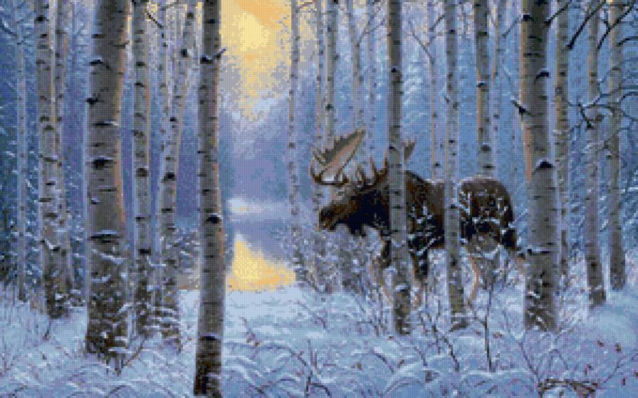 №574471 - зима, природа, растение, животные, лес, снег - предпросмотр