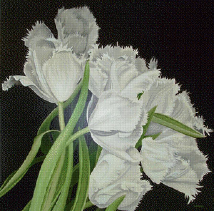 тюльпаны - картина цветы - предпросмотр