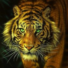 Схема вышивки «Тигр»