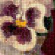 Предпросмотр схемы вышивки «анютки с розами» (№574820)
