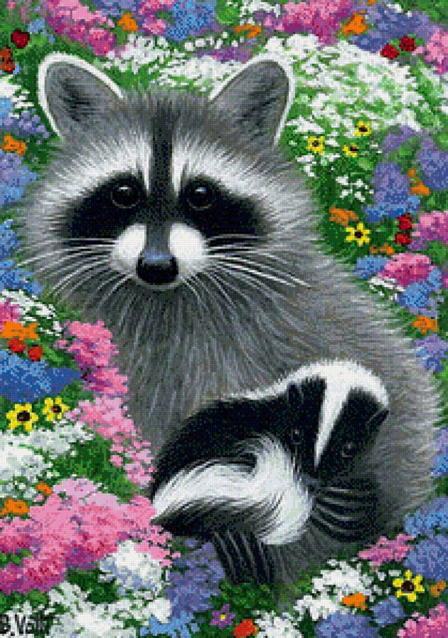 Енотики - цветы, животные, еноты, мама, детеныш - предпросмотр