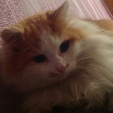 Схема вышивки «Илья»