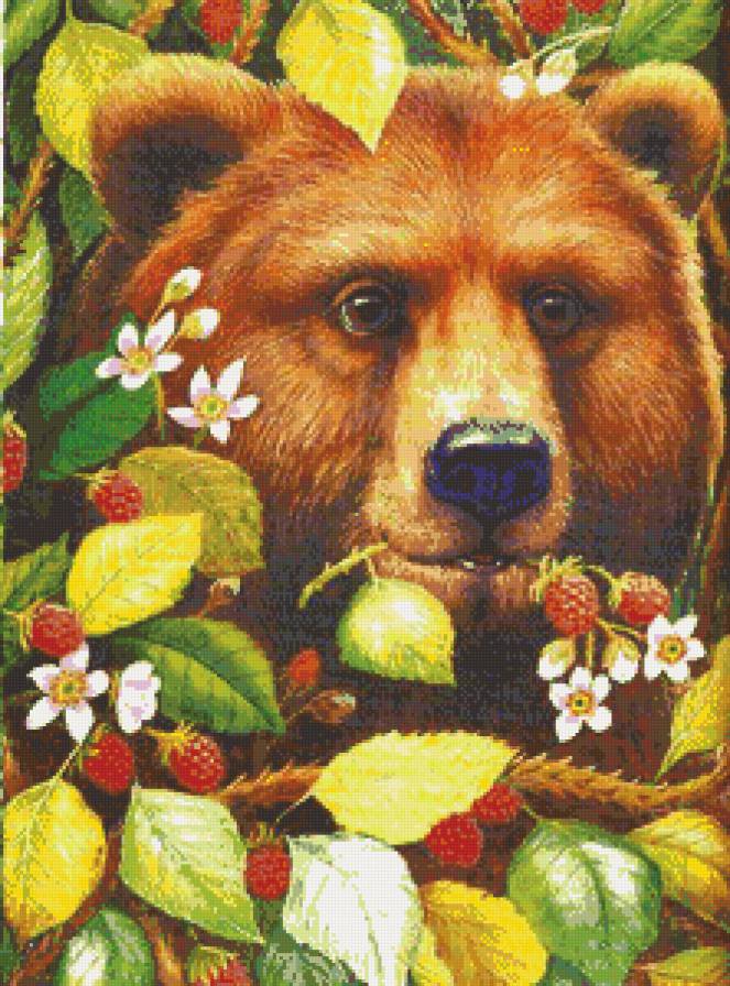 медведь и малина - цветы, ягоды, хищник, лес - предпросмотр