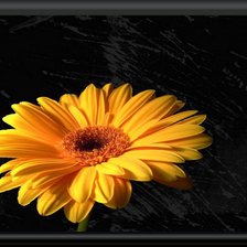 Схема вышивки «желтая1»