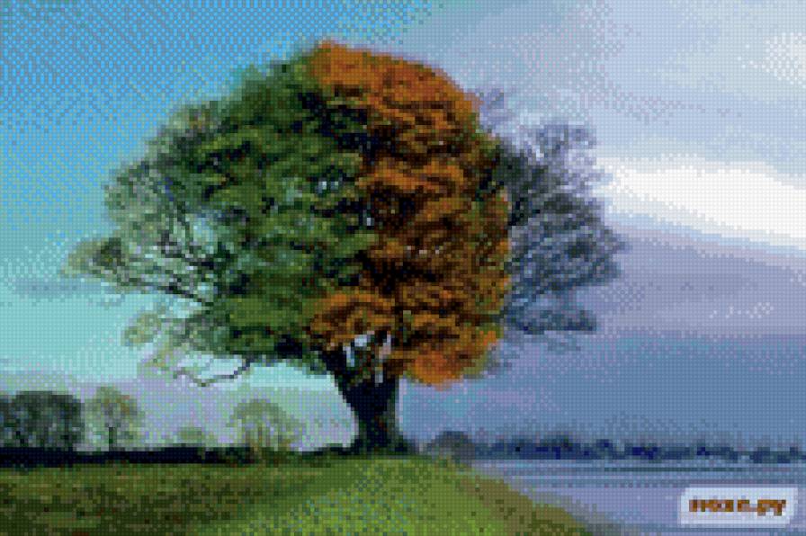 Времена года - предпросмотр