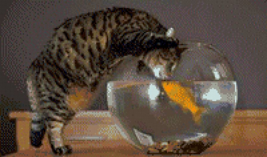 Кот и рыбка - кот, рыбка - предпросмотр