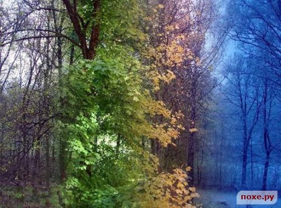 Смена сезонов - оригинал