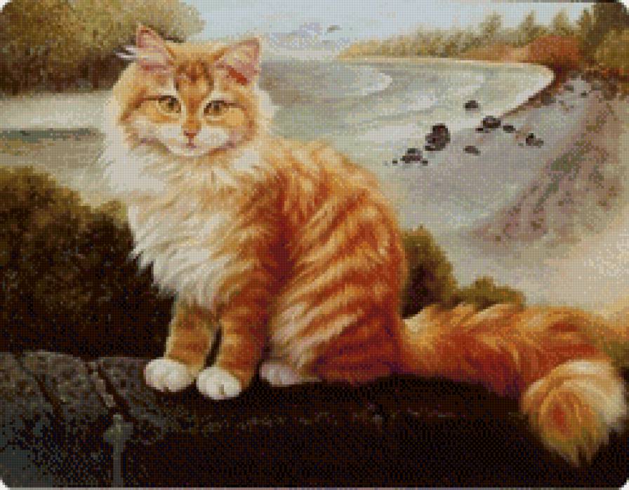Рыжый - коты - предпросмотр