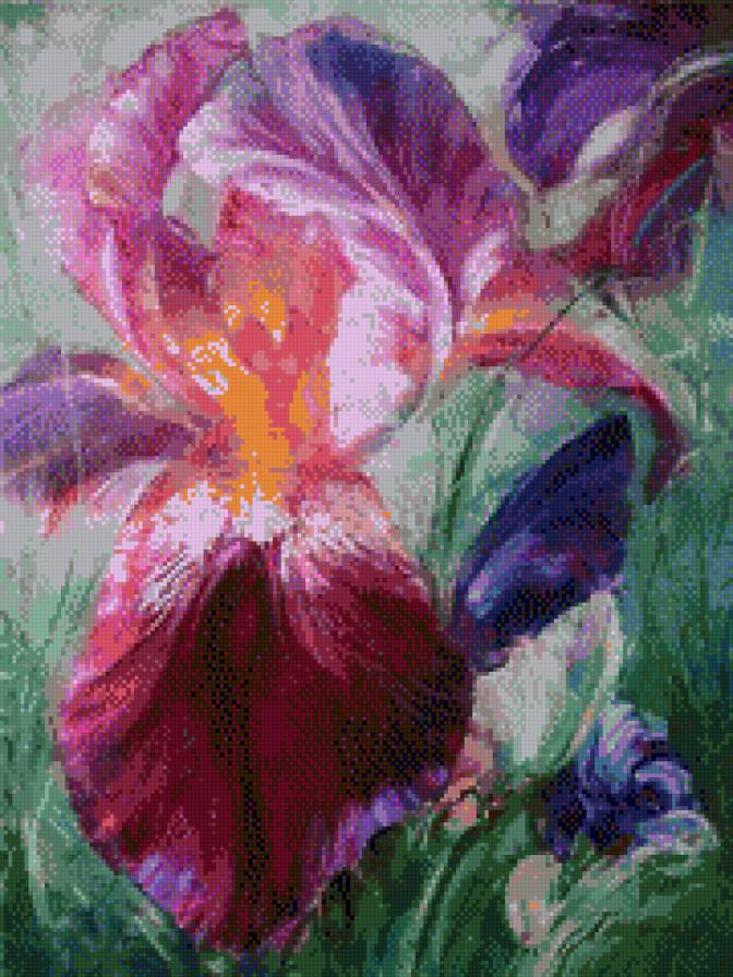 Homczik Anna-Irys - kwiaty, irysy - предпросмотр