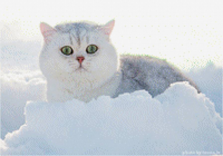 Кошка в снегу - предпросмотр