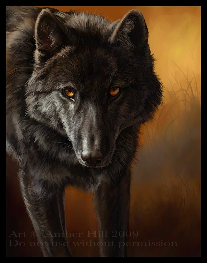 Волк - волк, золотые глаза - оригинал