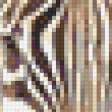 Предпросмотр схемы вышивки «L.REGAN. Зебры» (№575431)