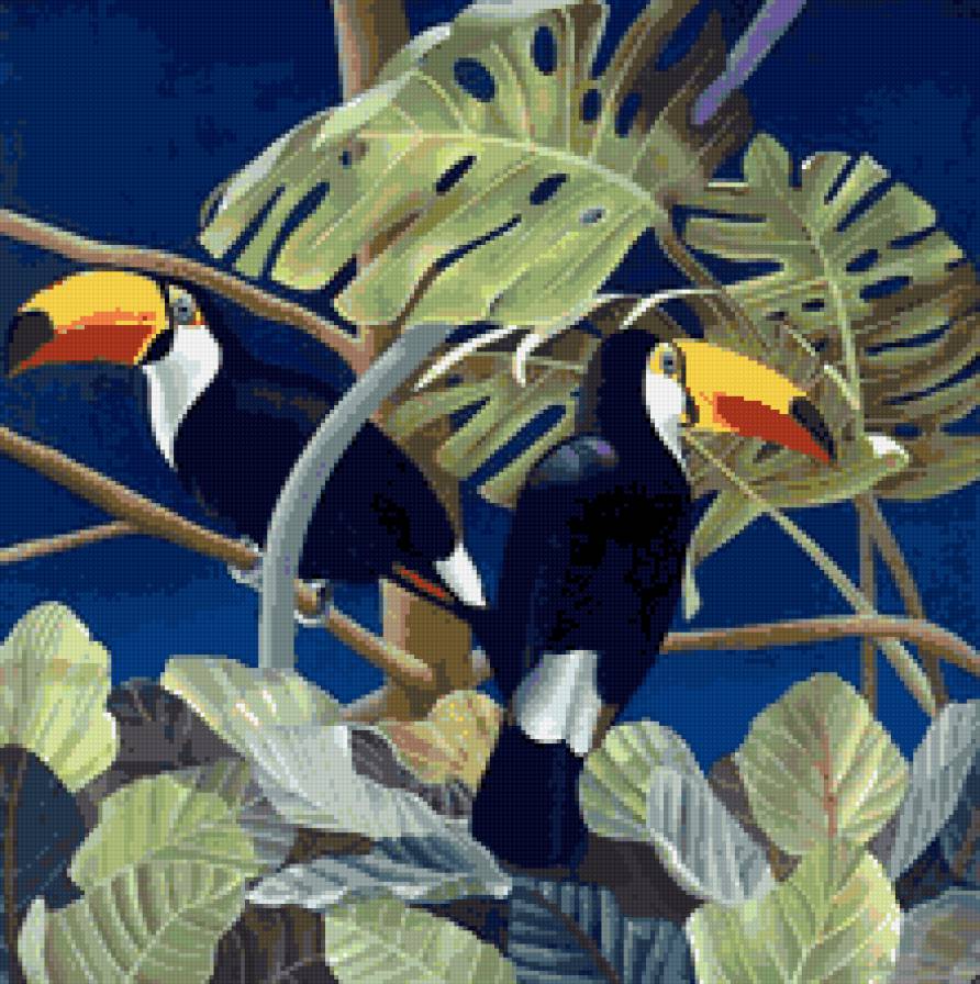 №575437 - фауна, савана, птицы, африка, живопись, туканы - предпросмотр