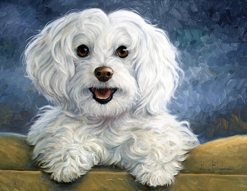 Lucie Bilodeau. Любимая собака - живопись, щенок, домашние животные, собака, животные, фауна - оригинал