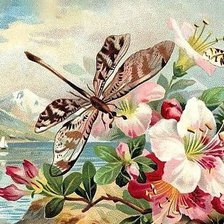 Схема вышивки «№575460»