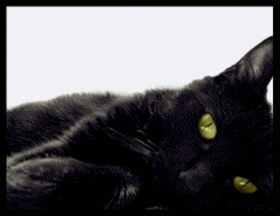 №575463 - предпросмотр