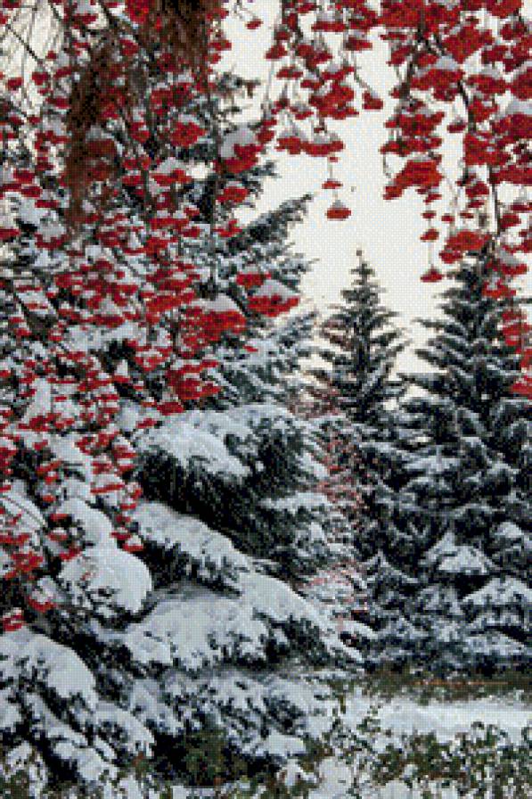 лес - елка, рябина, лес, снег, зима, рябина в снегу - предпросмотр