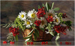 РЯБИНА В КОРЗИНКЕ - цветы, натюрморт, ягоды, рябина - оригинал