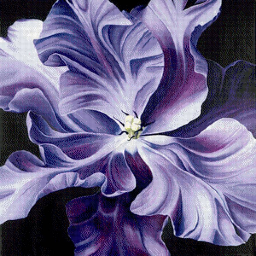 №575572 - цветы - предпросмотр