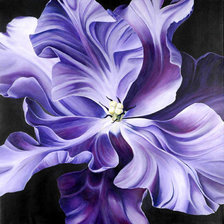 Схема вышивки «№575572»