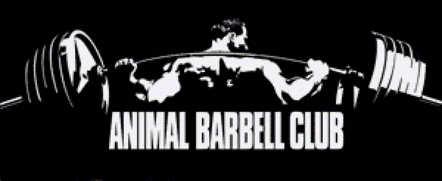 Пауэрлифтинг - спортсмен, пауэрлифтинг, качок, жимщик - предпросмотр