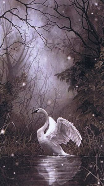 №575720 - оригинал