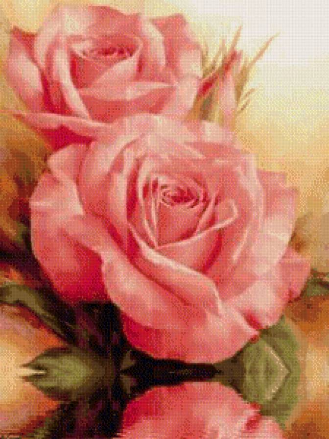 №575739 - розы - предпросмотр