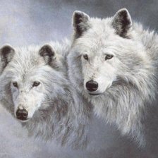 Схема вышивки «№575756»