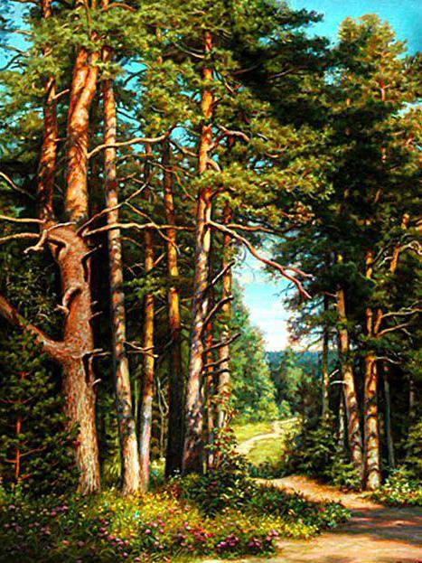 №575767 - пейзаж - оригинал