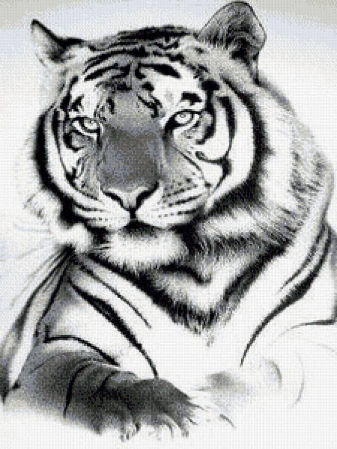 №575803 - животные - предпросмотр