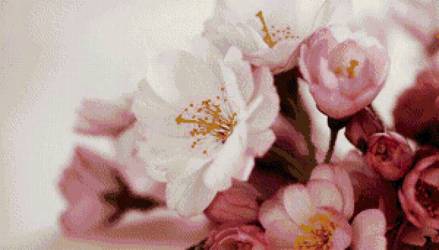 цветы - предпросмотр