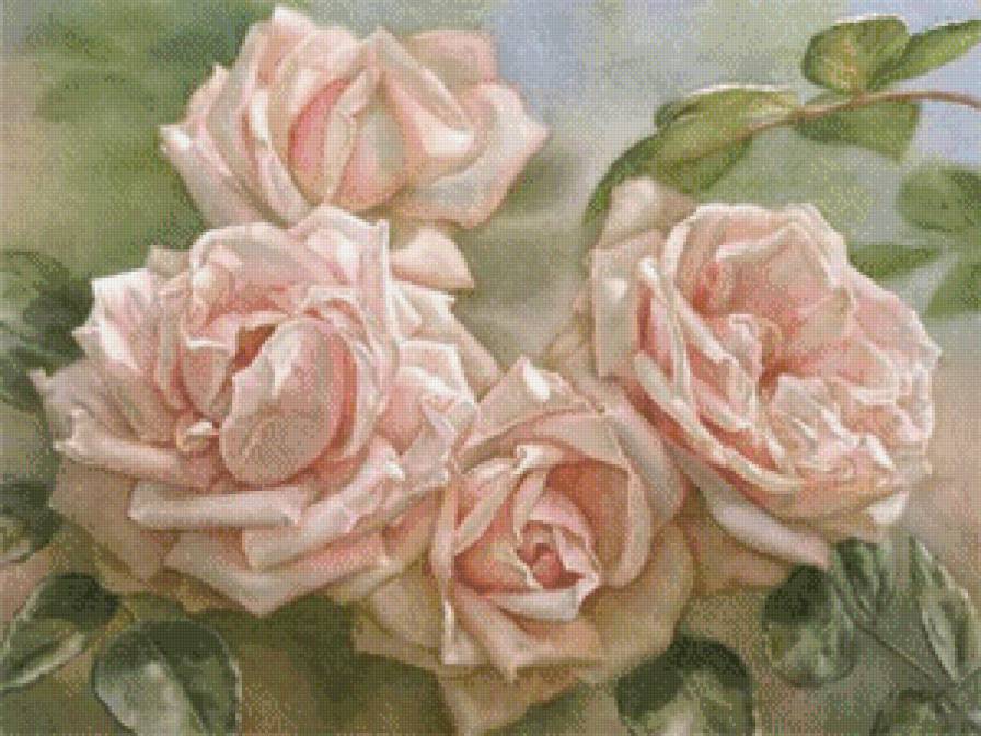 №575814 - розы - предпросмотр