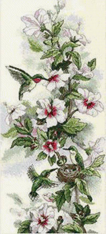 №575843 - цветы - предпросмотр